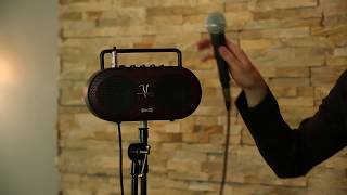 Video thumbnail for VOX Soundbox Mini by VoxShowroom