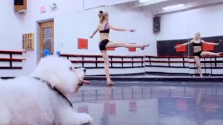 Dance Moms-&quot;BROADWAY BABY INTERRUPTS CHLOE&#39;S SOLO REHEARSAL&quot;(S1E6 Flashback)