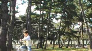 preview picture of video 'Park Avenue 浜寺公園の並木道'