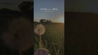 Download lagu AMALAN YANG PALING DISUKAI ALLAH - UST HANAN ATTAKI #shorts mp3