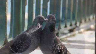 Music To Make Love By - Solomon Burke