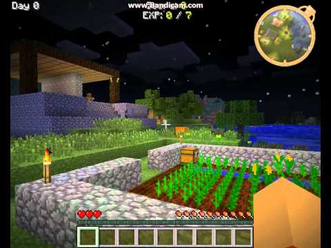 YogBox Episode 2 Dolphins