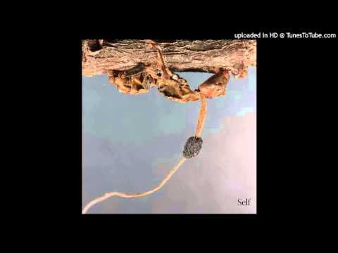 Terzij de Horde - Absence (from Self/ Burning World Records 2015)