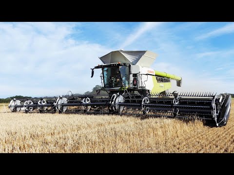 Claas Lexion 8900 with 50 ft. Wide MacDon FD250 Header Harvesting Barley | Harvest 2025