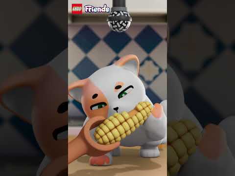 Recording Churros’ 🐱 corn 🌽 munching 😋 is quite the CHALLENGE! 😅 LEGO Friends #LEGOAnimals #Churro