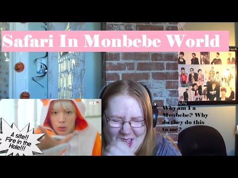 Monbebe Reacts: Monsta X - Safari in Monbebe World | WHY