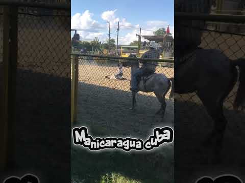 #MANICARAGUA #villaclara #cuba #cubatravel #shorts