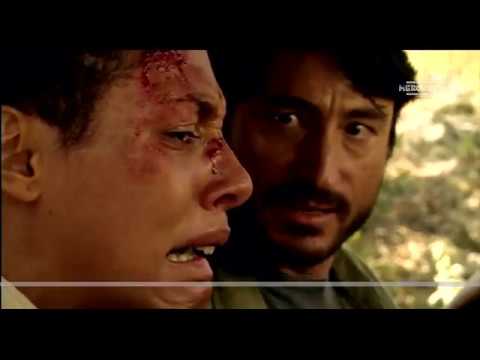 LA NOCHE DE LOS GIRASOLES de Jorge Sánchez-Cabezudo