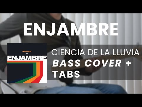 Ciencia De La Lluvia - Enjambre