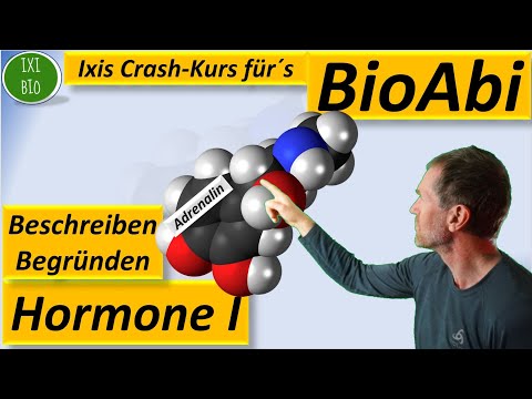 Hormone 1 - Vergleich Peptidhormone und Steroidhormone - Übersicht über Funktionsweise von Hormonen