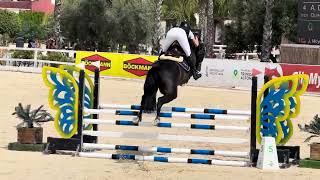 Quel Prince d'Eden Z - CSIYH 5 yo Oliva 2026