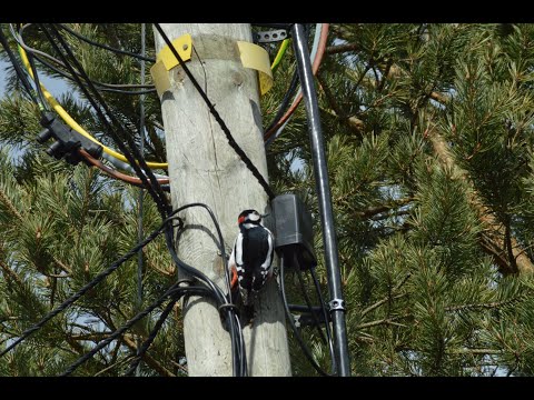 Huomenta tästä viikko alakaa