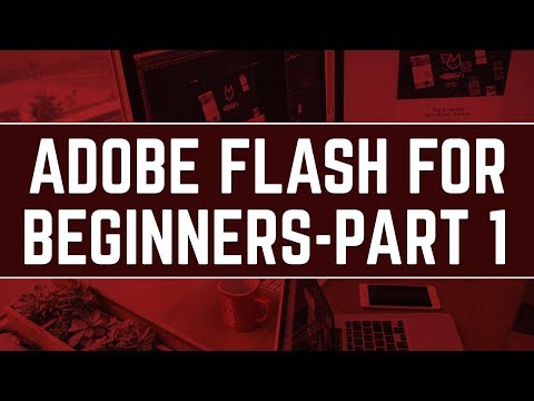 Adobe Flash Tutorials For Beginners | Part 1