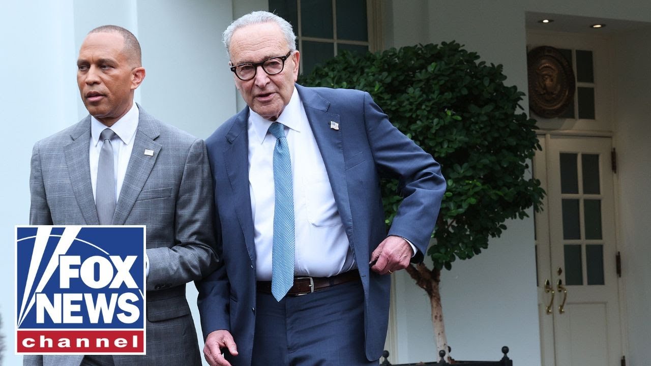 Democratic strategist has a message for fellow party members