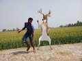 Young Boy Dnace With Animal Funny Videos 2018 Xxvi