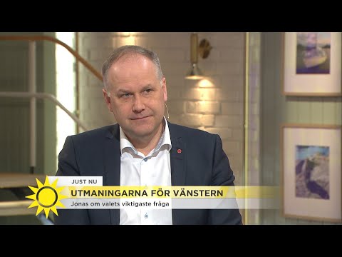 Jonas Sjöstedt om bråket i Vänsterpartiet: ”Svår och känslig sak”  - Nyhetsmorgon (TV4)