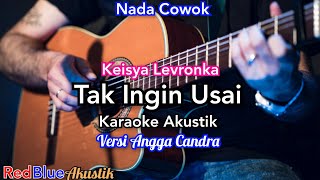 Download lagu tak ingin usai Karaoke Akustik versi angga candra mp3