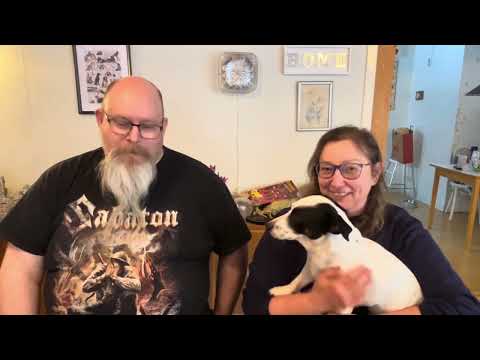 Our quick thoughts on Witchwood for Destinies