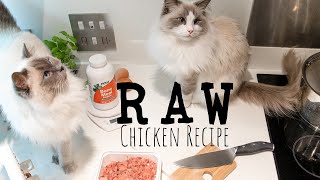 RAW Cat food really easy Chicken recipe| Ragdolls Pixie and Bluebell