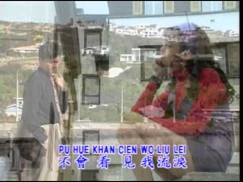 Amelia 美雅 - 忘情水 Wang Qing Shui