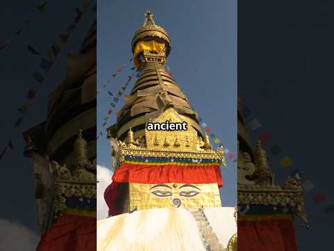 Top 5 must visit places in Madhya Pradesh