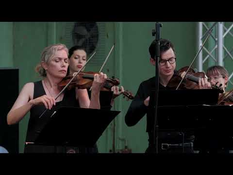 Telemann – Concerto di Camera in G Minor (Allegro)