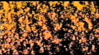 SKINNY PUPPY 'Shore Lined Poison' TOO DARK PARK Backing Film excerpt (HQ Audio)