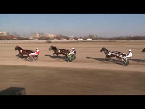 2017.03.04. 4. futam - SORS DÍJ