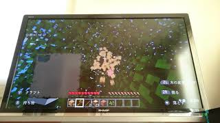 バグでデータ消えた❗新マイクラ実況パート1