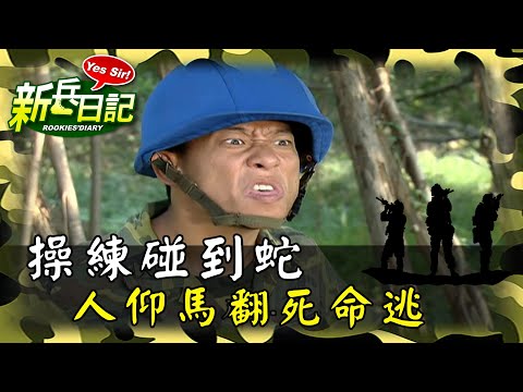 碰到蛇