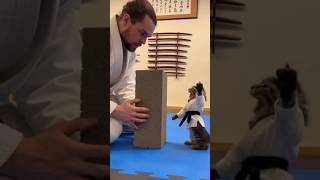 Download lagu Cat have crazy skill 🔥💀😱 #shots #funny #trending mp3