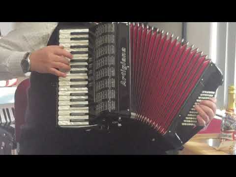 Klangprobe Akkordeon Artigiana Mod. 343