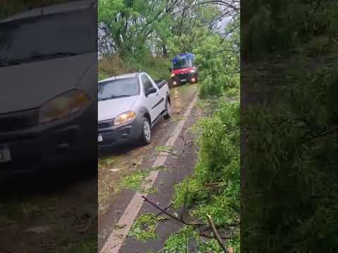 Temporal deixa galhos espalhados pela pista na região de Assaí e São Sebastião da Amoreira