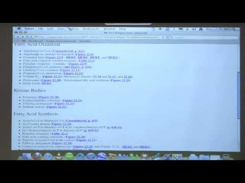 Kevin Ahern's Bite-Sized Biochemistry #37 - Fatty Acid Metabolism II