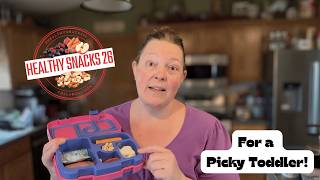 Healthy Snacks for a Picky Toddler