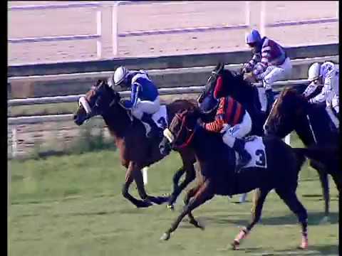 Galoppo 12/07/2017 - 1ª corsa