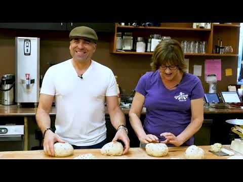 Visitas de Vinny - Great Harvest Bread Company, Medford, Oregon