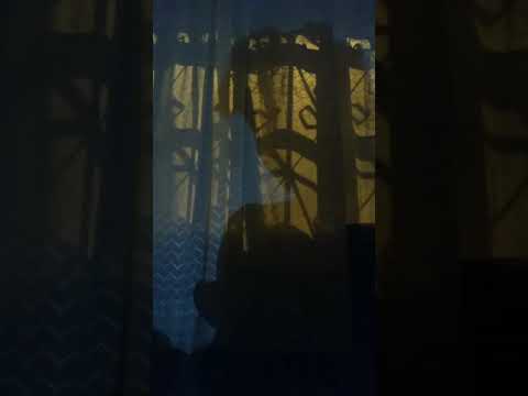 Y si pudiera te daría la luna..🌛