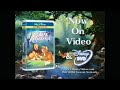 The Fox And The Hound Now On Video Disney DVD In 2000