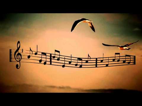 Nàng - Bằng Kiều - Lyrics