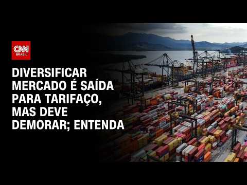 Tarifaço: Diversificar mercado é a saída, mas deve demorar; veja análise | HORA H