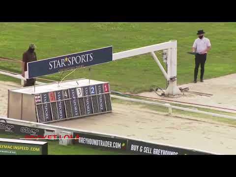 Pocket Lola - BGBF TruFrame British Bred Champions Stake Ht 3