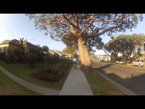 IN REAL LIFE w/ Muzzafuzza & Syndicate