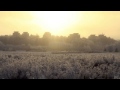 Furious River - Ice Cold Smoke (Yung Lean Cover ...