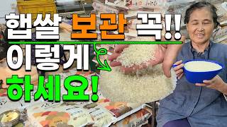 벌레걱정없는 햅쌀 보관법 이렇게 해보세요 쌀20kg 쌀10kg 햅쌀 판매  여주쌀 이천쌀 김포쌀 강화쌀 삼광…