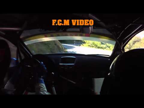 CameraCar Rally Appennino Ligure 2011 Bossalini - Mangiarotti Peugeot 207 Super 2000