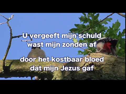 Opwekking 787 Man van smarten