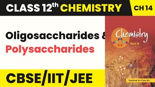 Class 12 Chemistry Chapter 14 | Oligosaccharides and Polysaccharides - Biomolecules (2022-23)