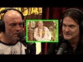Money Power And Death The Dark Side Of The Hare Krishna S