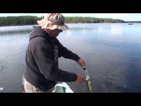 KaBeeLo Lodge Fishing Experience Ontario, Canada